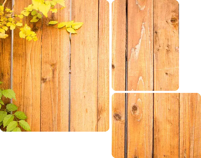 Norman Best Wood Privacy Fencing